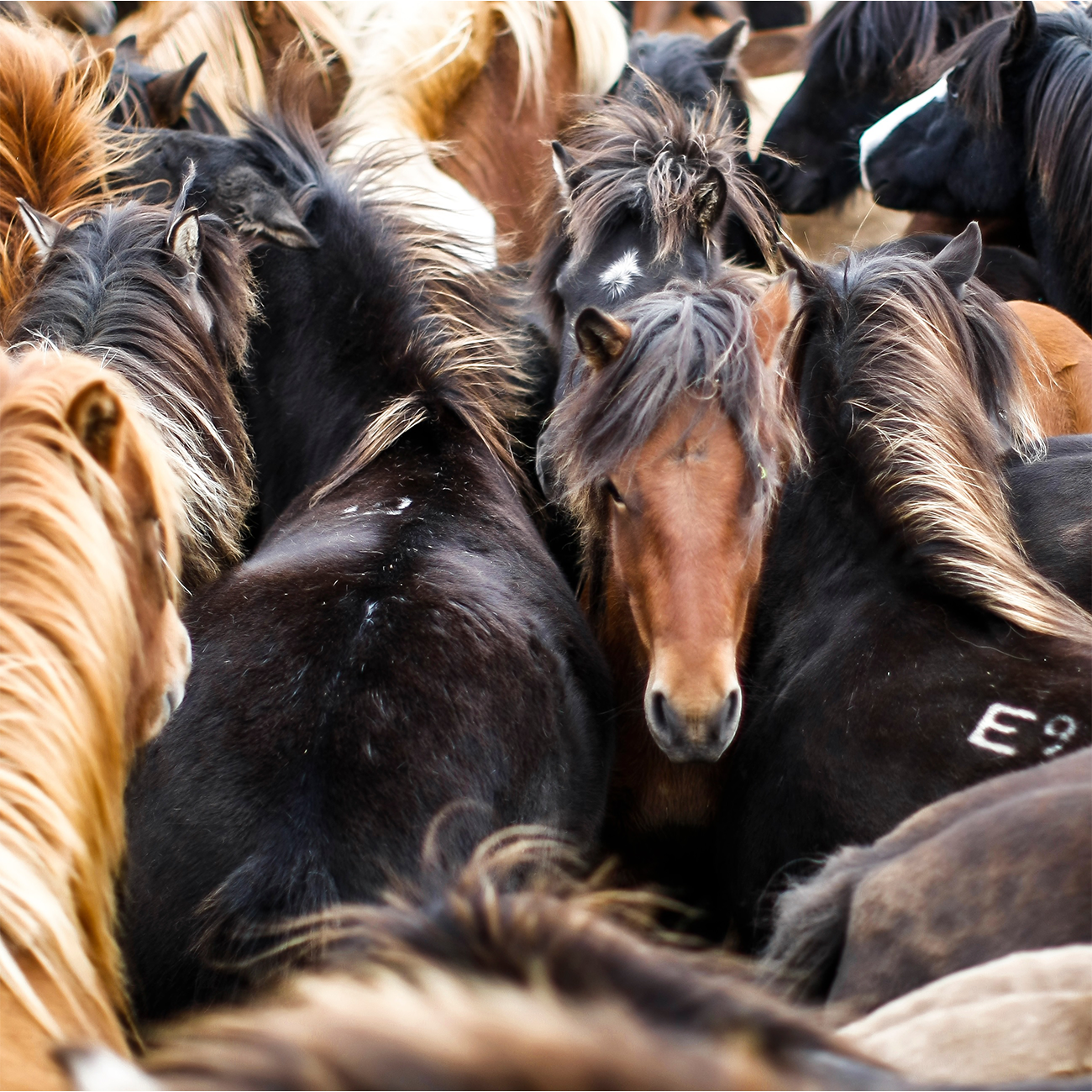 It's Me Themes Fragrance-carrier Bracelet "HESTAR"