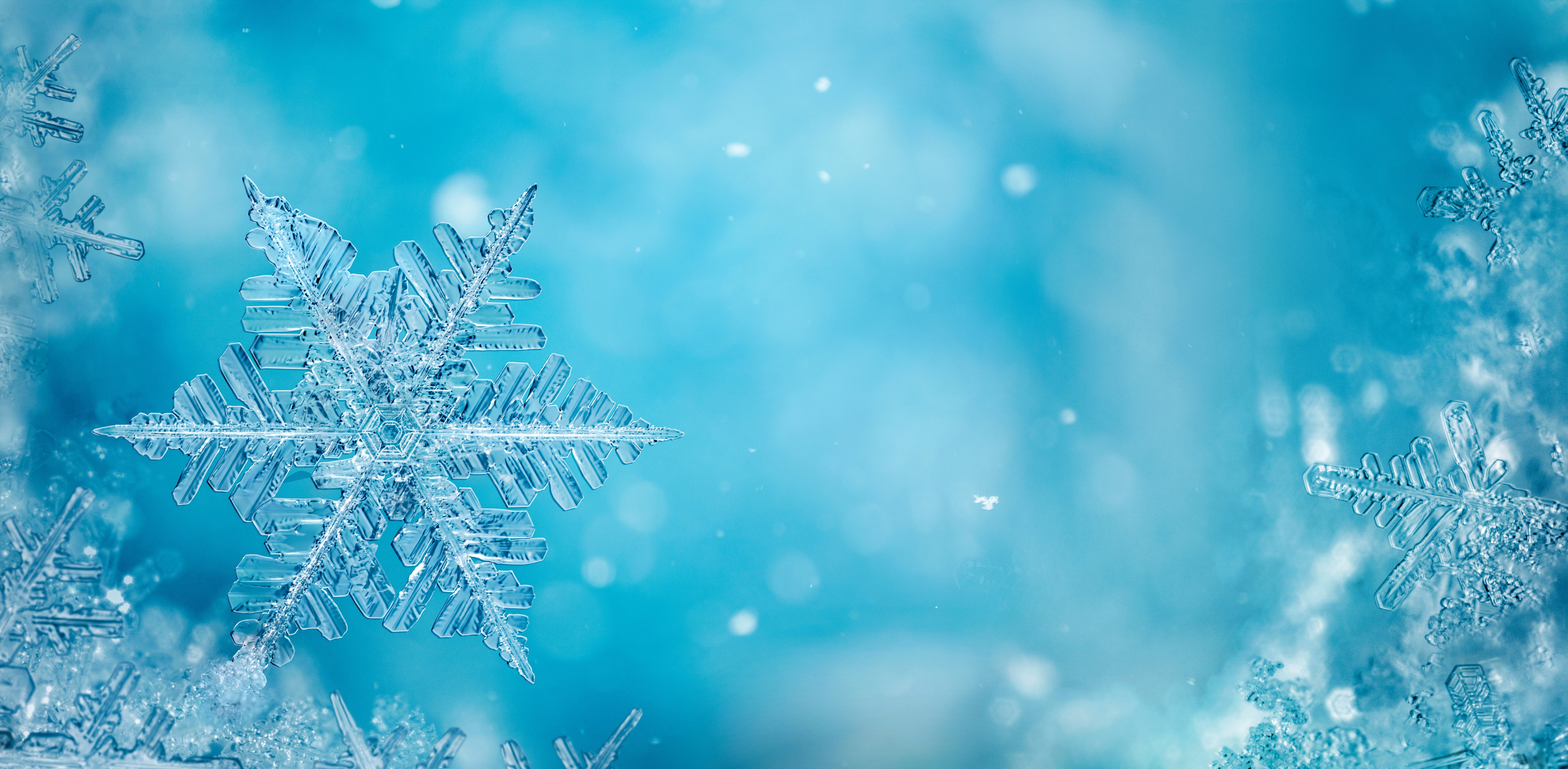 Special "Winterzauber"