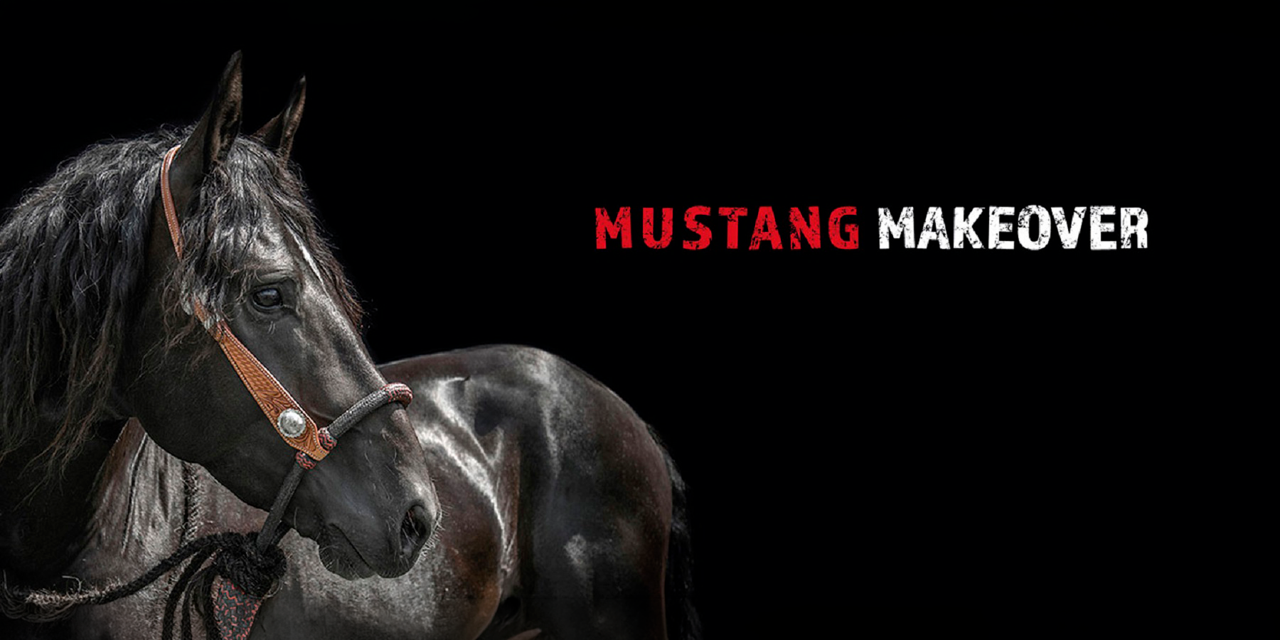 Mustang Makeover V.I.P. Edition