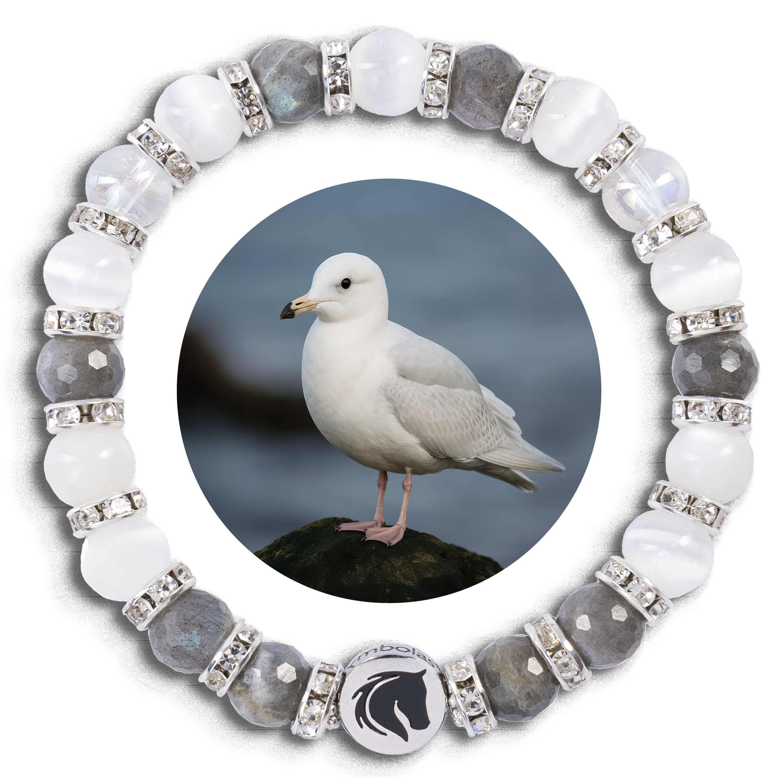 <i>Faszination Island</i> Kollektion<br><strong>"POLARMÖWE"</strong><br>- Klarheit & ruhige Ausdauer -