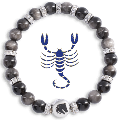 Symbolas® Birthstone Bracelet<br><strong>PISCES</strong><br>Compassion, Empathy, Deep Emotional Sensitivity